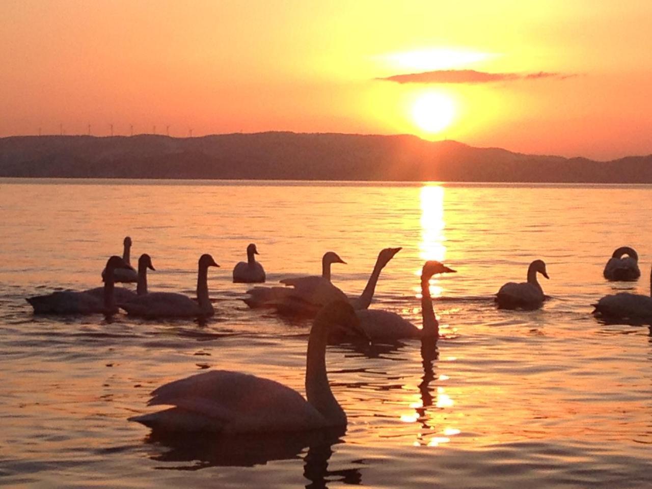 מלון Inawashiro Lakeside Banko מראה חיצוני תמונה