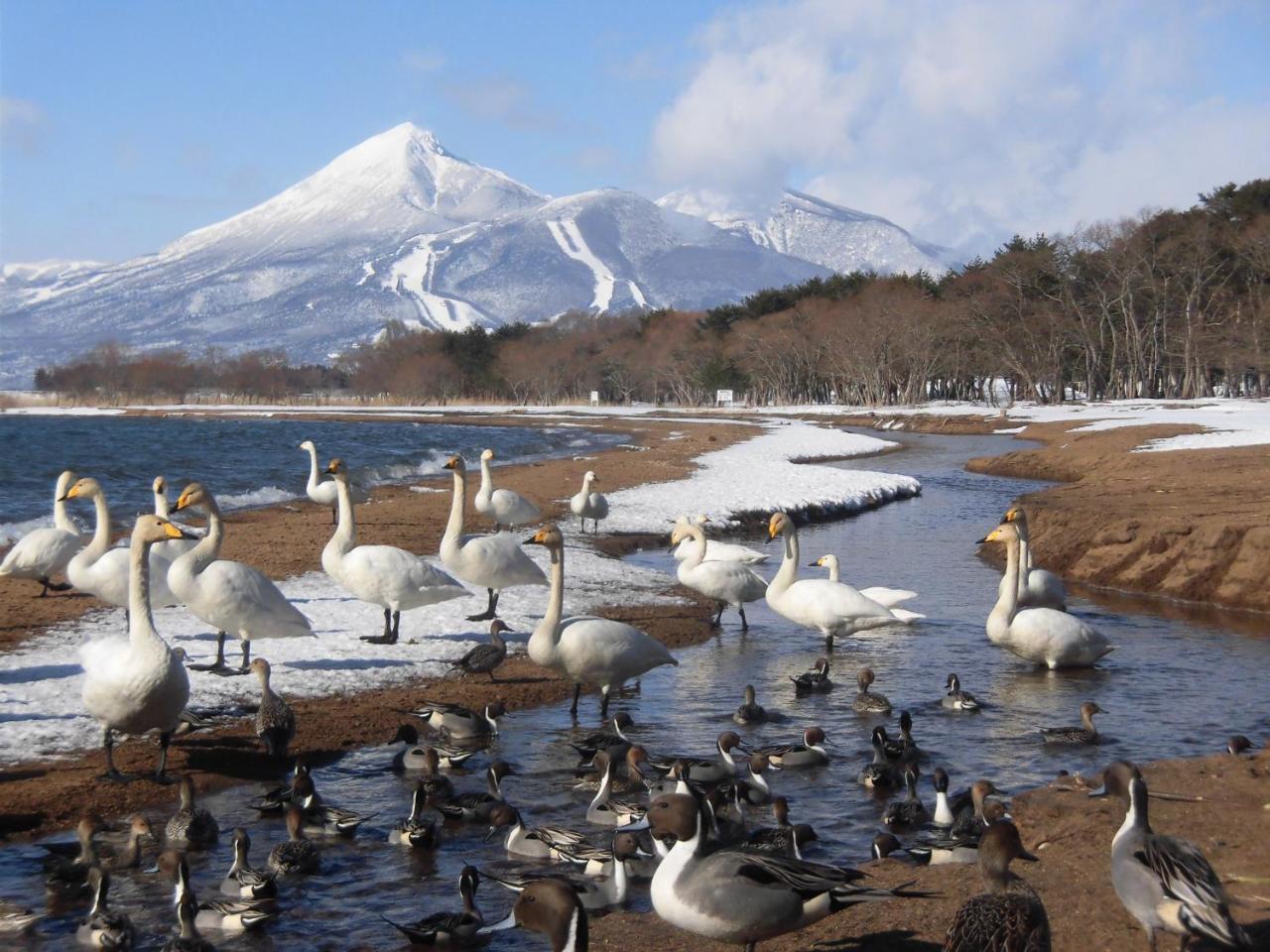 מלון Inawashiro Lakeside Banko מראה חיצוני תמונה